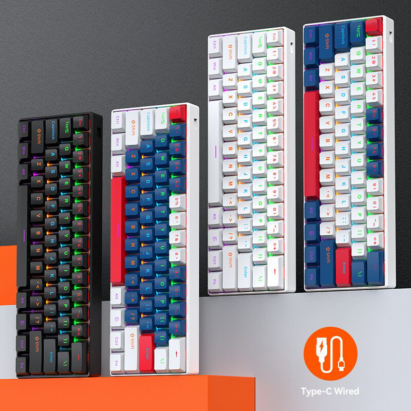 Gaming Keyboard Not Typing - T-WOLF T60 61 Tuşlu Mini Mekanik